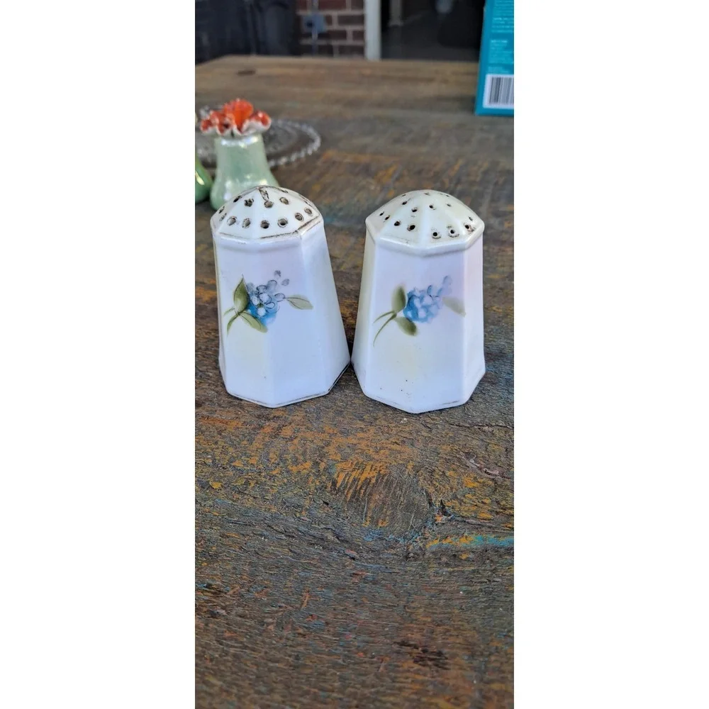 Nippon‎ Hand Painted Floral Salt & Pepper Shakers